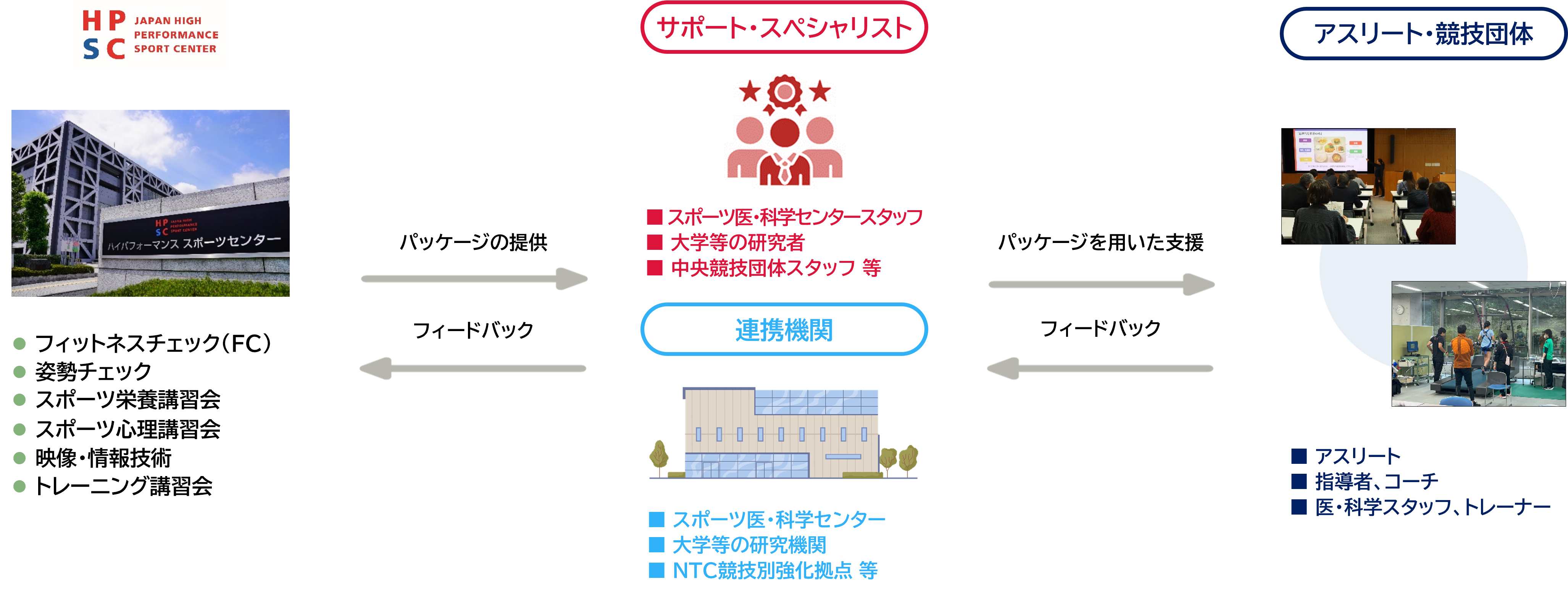 アスリート支援の流れ